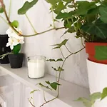 Appartement Bounty